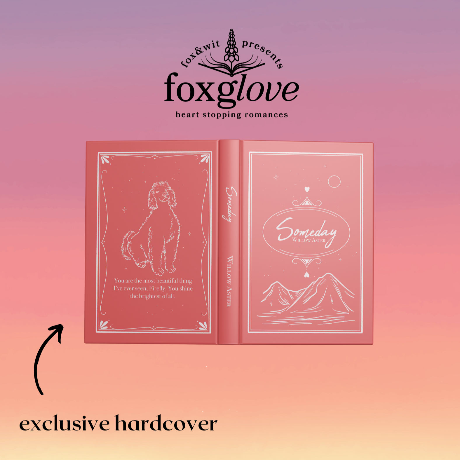 Someday exclusive special edition hardback by Willow Aster