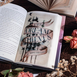 The Dream Thieves book page overlay