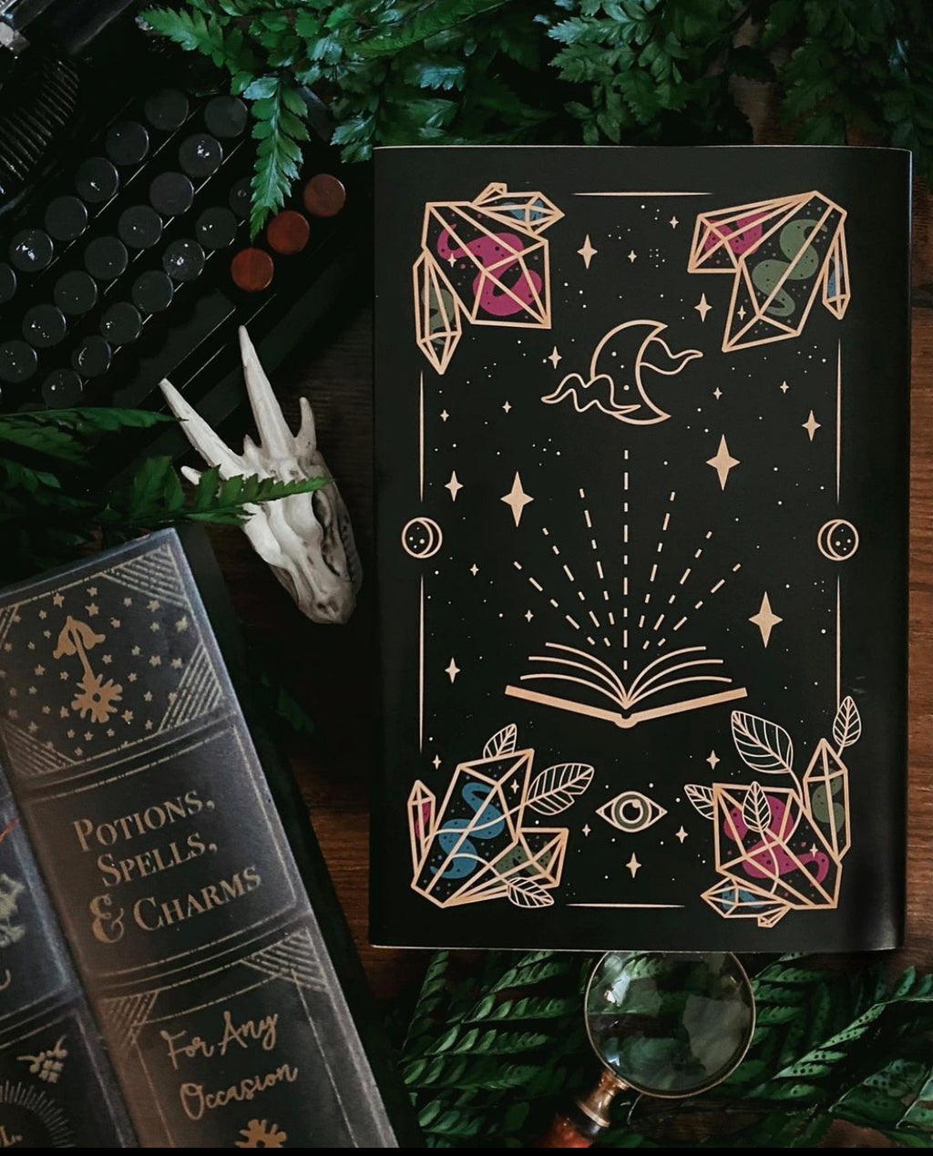 Dead Education dust jacket - foxandwit