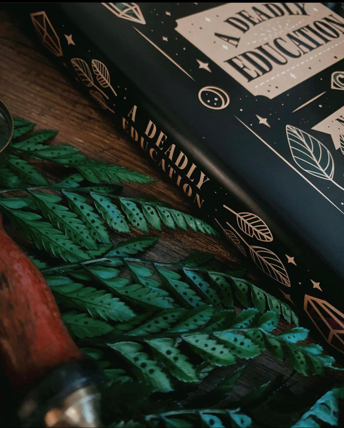 Dead Education dust jacket - foxandwit