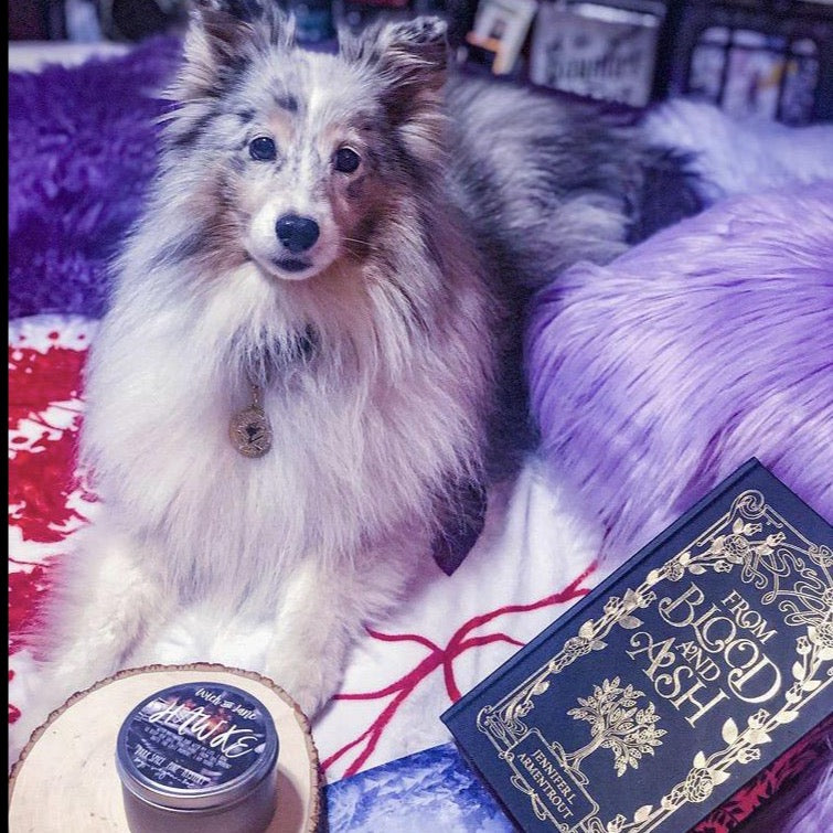 Pet Tag Charms: From Blood and Ash