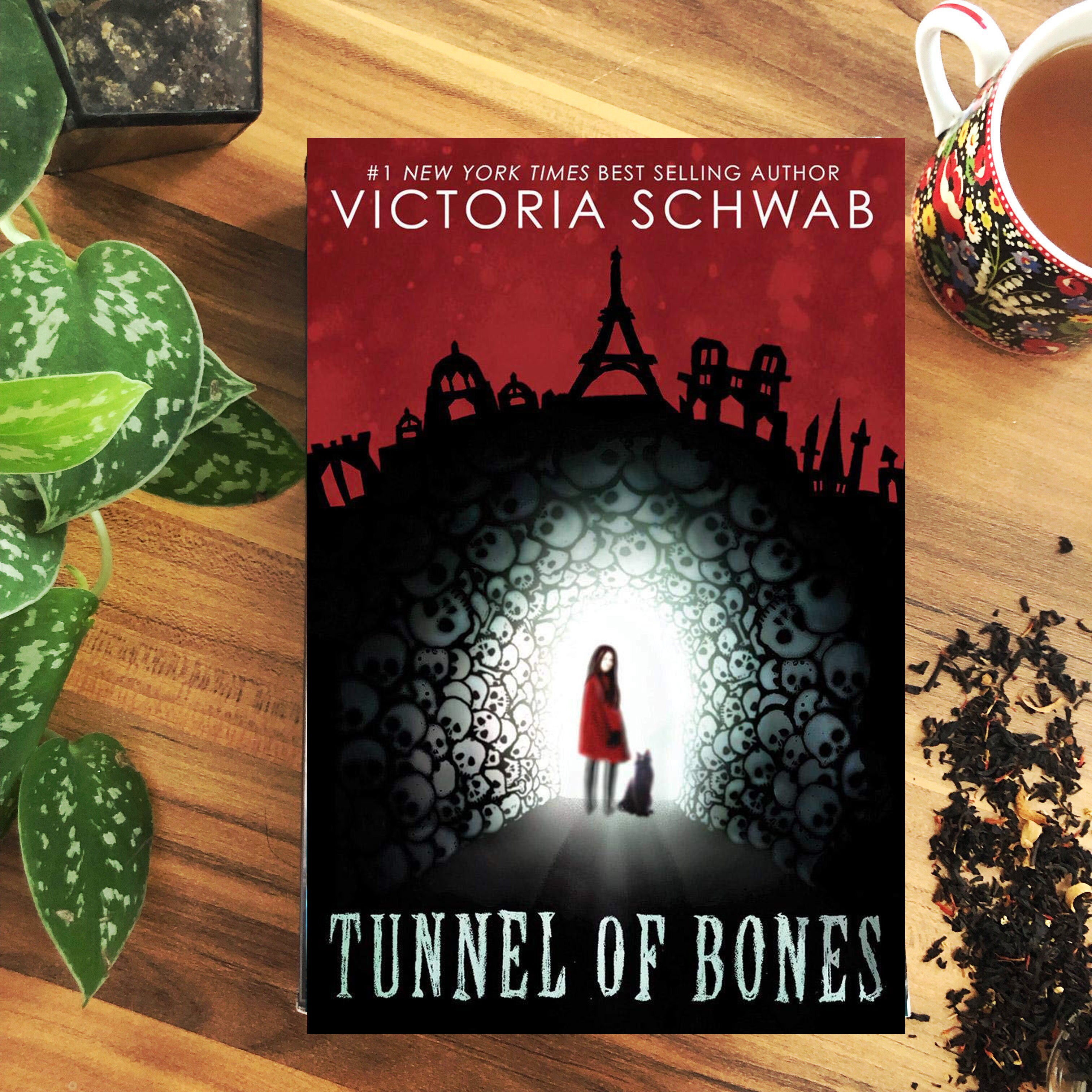 Tunnel of Bones (sprayed edges) - foxandwit