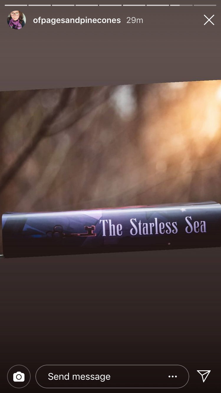 Starless Sea dust jacket - foxandwit