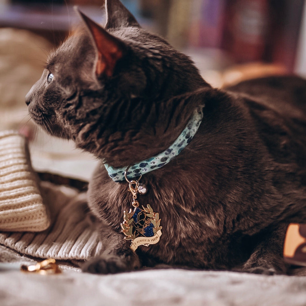 Pet Tag Charms: The Raven Cycles - foxandwit