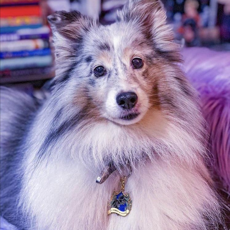 Pet Tag Charms: The Raven Cycles