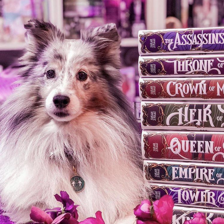 Pet Tag Charms: House Galanthynius crest